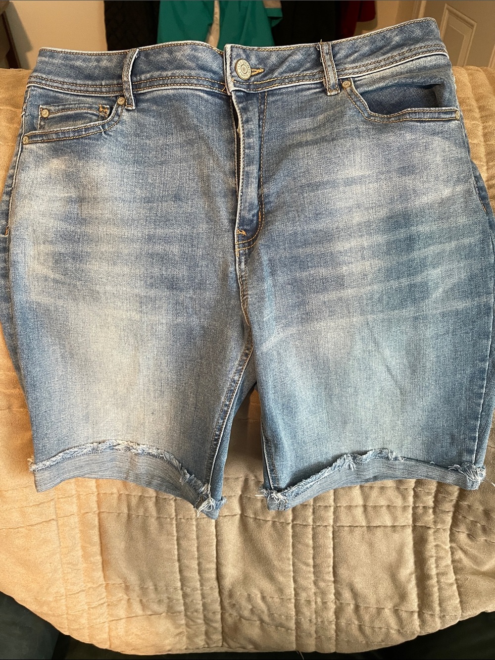 Light Indigo Denim Shorts with Est. 1946 Label